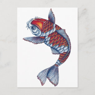 Kohaku Koi Fish Postkarte