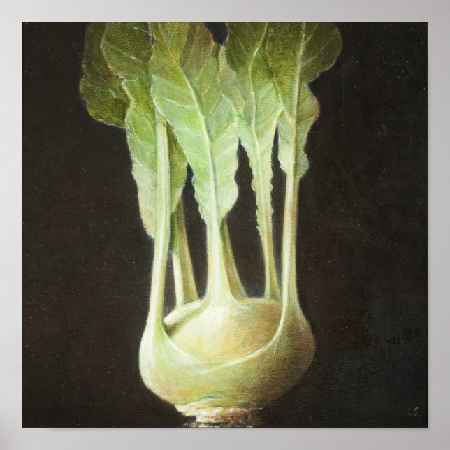 Kohl Rabi 2012 Poster (Vorne)