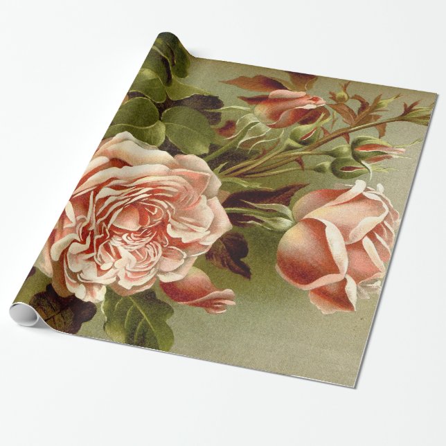 Kohl-Rosen-Blumen-Verpackungs-Papier Geschenkpapier (Ungerollt)