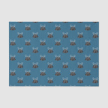 Kohlenstoffglocken & Blauer Bogen