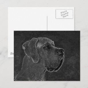 Kohlestiftzeichnung eines Deutschen Doggenkopfes Postkarte