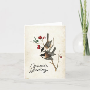 Kohlmeise Frohe Weihnachtsgrüße Vogel Feiertag Feiertagskarte