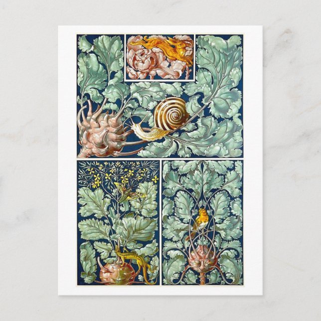 Kohlrabi als dekoratives Objekt Postcard Postkarte (Vorderseite)