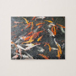 Koi