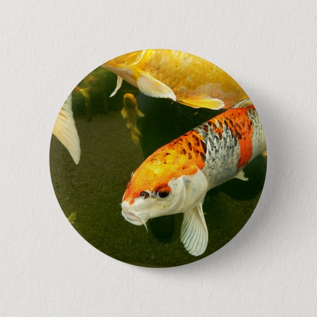 Koi Carp Abzeichen Button (Vorderseite)