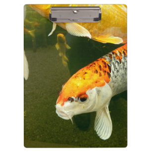 Koi Carp Clipboard Klemmbrett