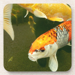 Koi Carp Hard Plastic Coaster Getränkeuntersetzer