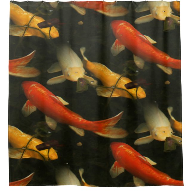 Koi Duschvorhang (Vorderseite)