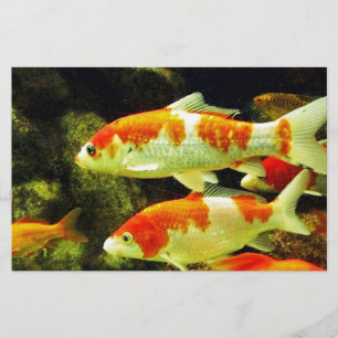 Koi-Fisch Briefpapier