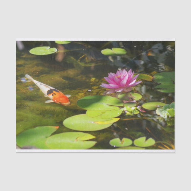 Koi Fisch im Seerosenteich Seidenpapier (Vorderseite)