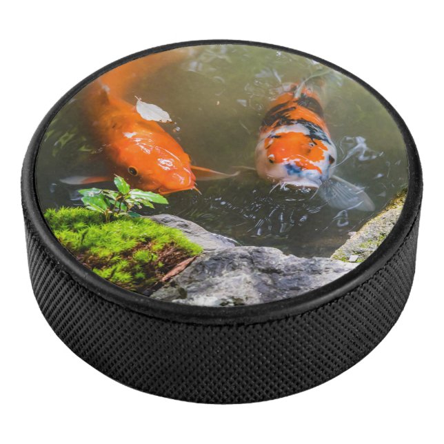 Koi-Fisch in einem Teich Eishockey Puck (3/4)