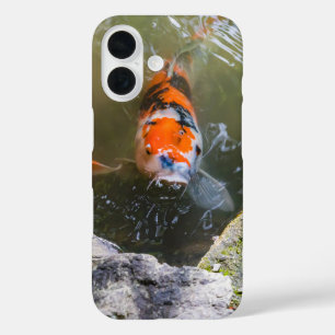 Koi-Fisch in einem Teich iPhone 16 Hülle