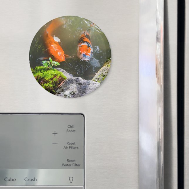 Koi-Fisch in einem Teich Magnet (In Situ (Kühlschrank))