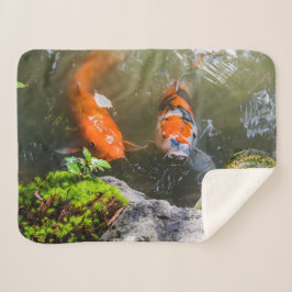 Koi-Fisch in einem Teich Sherpadecke