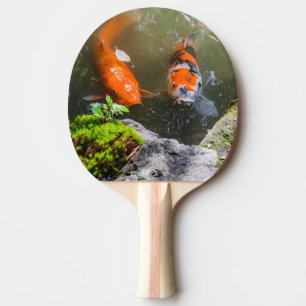Koi-Fisch in einem Teich Tischtennis Schläger