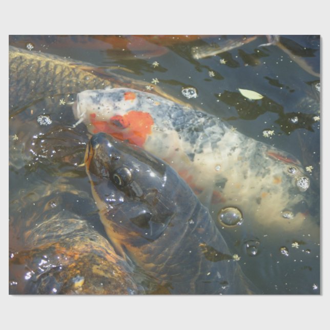 Koi Fisch-Pond See-Packpapier-Geschenk Geschenkpapier (Flach)
