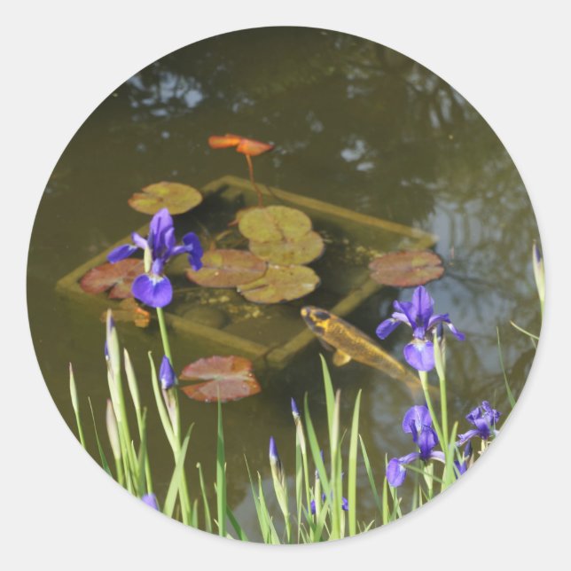 Koi Fish #4 Stickers (Vorderseite)