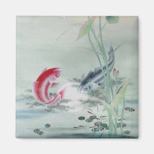 Koi Fish mit Lotus Magnet