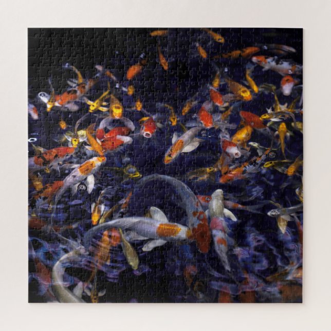 KOI FISH OVER FLOWING (Vertikal)