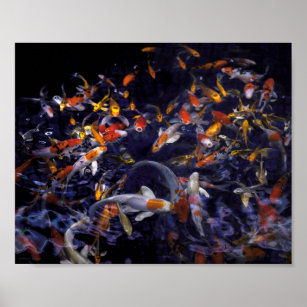 KOI FISH OVER FLOWING POSTER