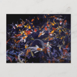 KOI FISH OVER FLOWING POSTKARTE
