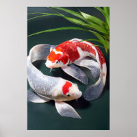 Koi Fish Poster