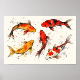 Koi Fish  Poster