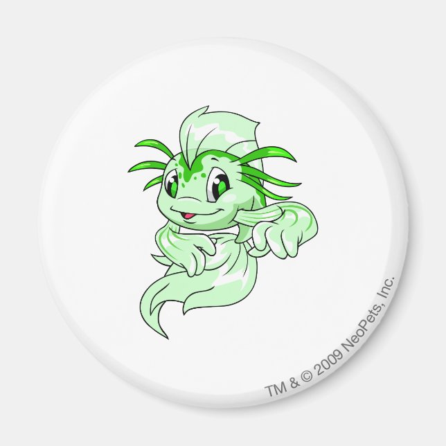 Koi Green Magnet (Vorne)