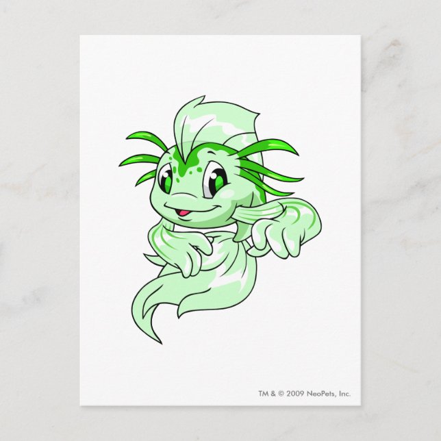 Koi Green Postkarte (Vorderseite)