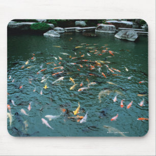 Koi in einem Teich Mousepad