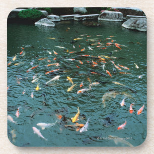Koi in einem Teich Untersetzer