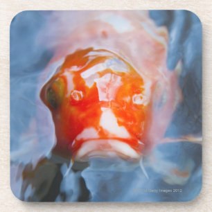 Koi Karpfen (Cyprinus Carpio), Japan Untersetzer