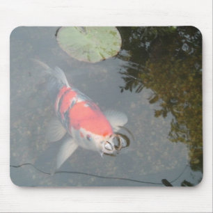 Koi Karpfen herauf nahe Ansicht Mousepad