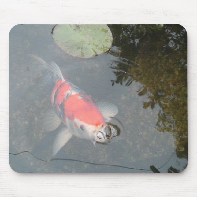 Koi Karpfen herauf nahe Ansicht Mousepad (Vorne)
