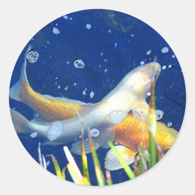 Koi-Karpfenaufkleber Runder Aufkleber (Vorderseite)