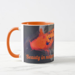 Koi, Pez Carpa Tasse