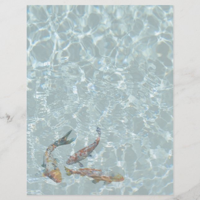 Koi Pond (Vorderseite)