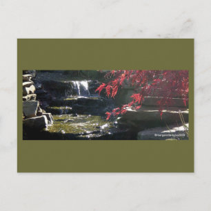 Koi Pond bei der HFSC Postkarte
