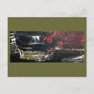 Koi Pond bei der HFSC Postkarte