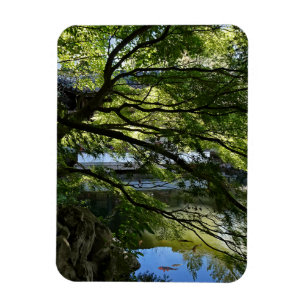 Koi Pond in Chinese Garden Magnet