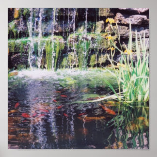 Koi Pond Poster