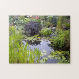 Koi Pond Puzzle