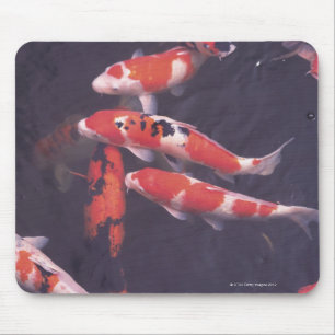 Koi Pool Mousepad