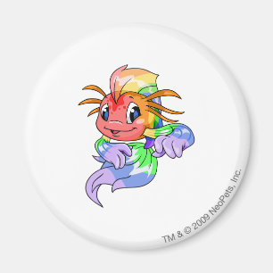 Koi Rainbow Magnet