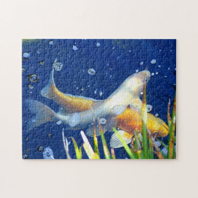 koi Schwimmenpuzzlespiel (Horizontal)