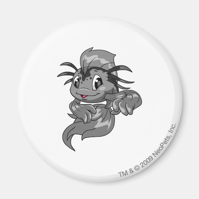Koi Shadow Magnet (Vorne)