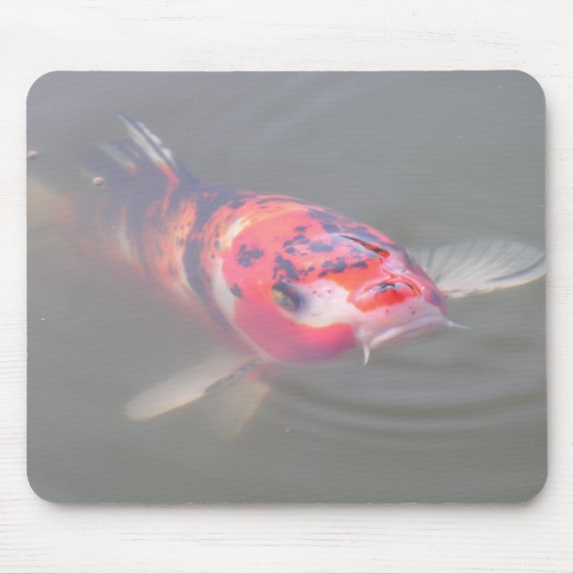 Koi Teich Mousepad (Vorne)