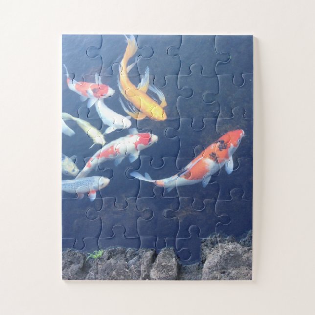 Koi unter Glas (Vertikal)