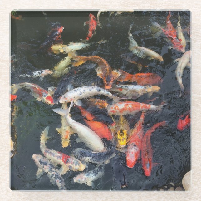 Koi - Untersetzer aus Glas (Vorderseite)