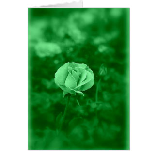 Koinonia "Fellowship on the Path"